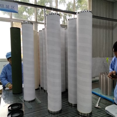 Coalescence Filter 70x249 Customize