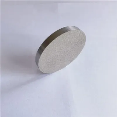 Powder Sintered Filter 0.1-120 Micron Porous Metal Filter Disc